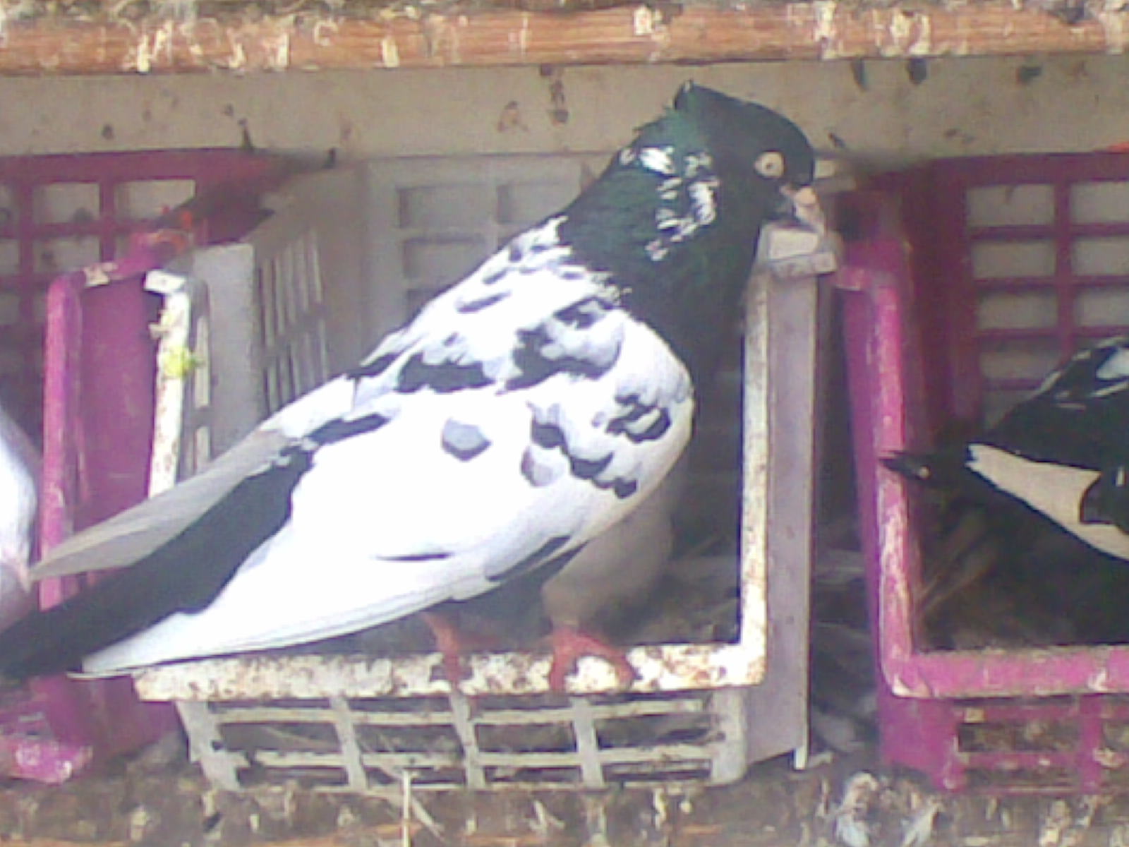 08042010(041).jpg