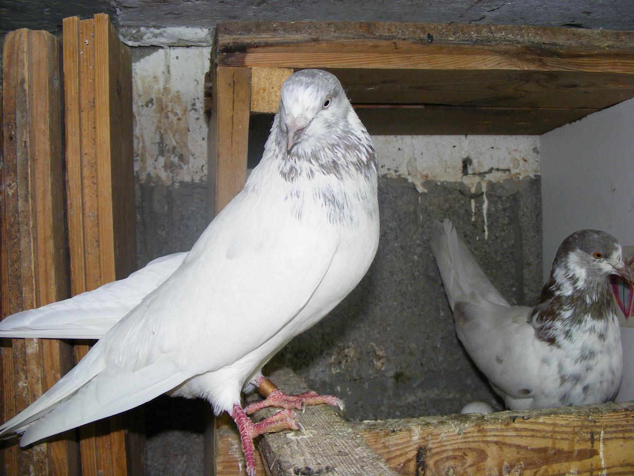 DSCF1342.JPG