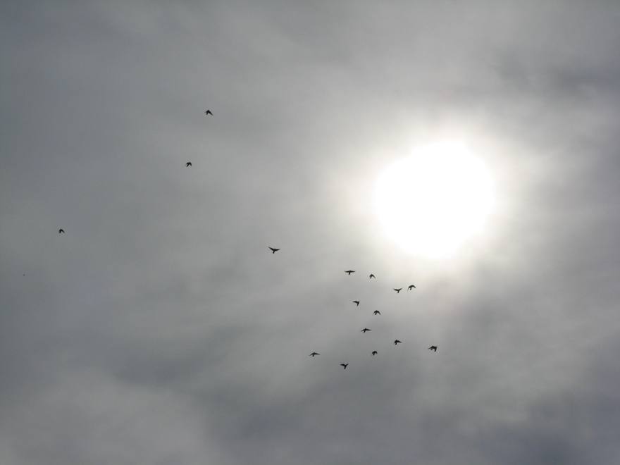 גרמניה 2010  2 045.jpg