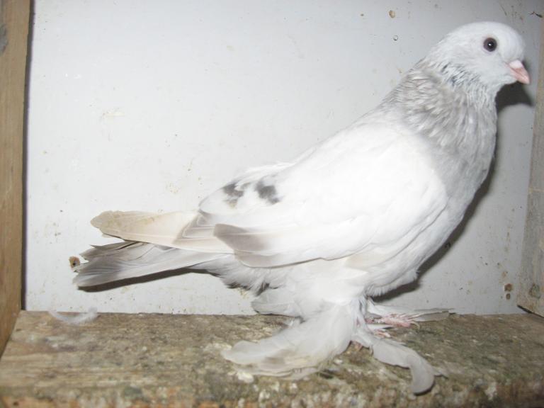 20.jpg