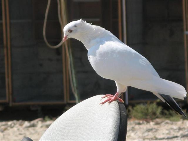 5_640x480.jpg
