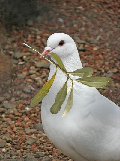 untitled.jpg