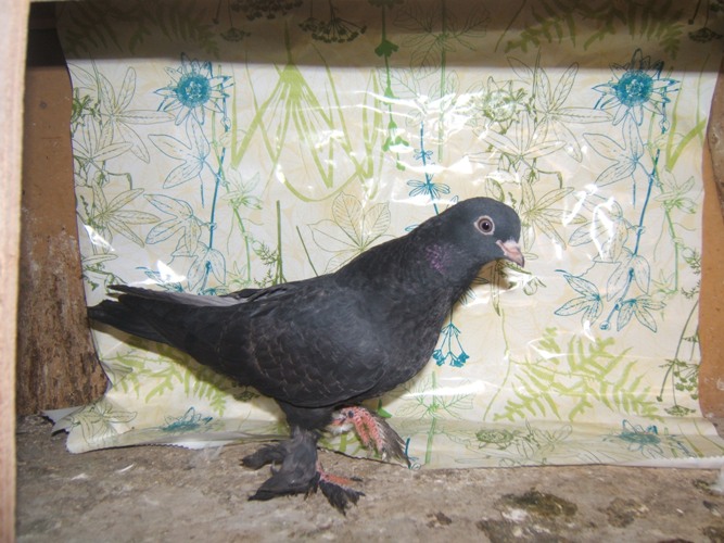 DSCF6943.JPG