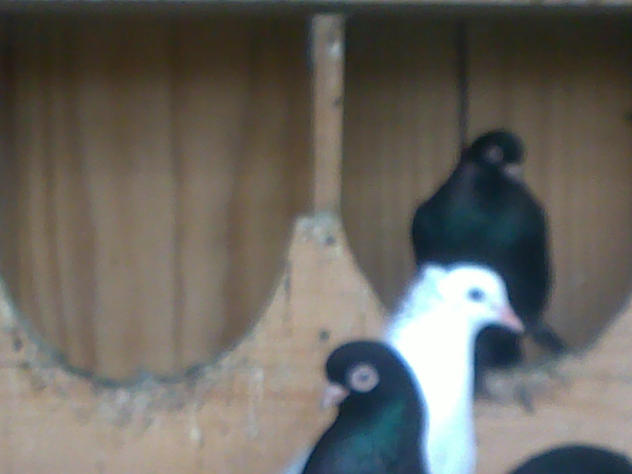 14042011345.jpg