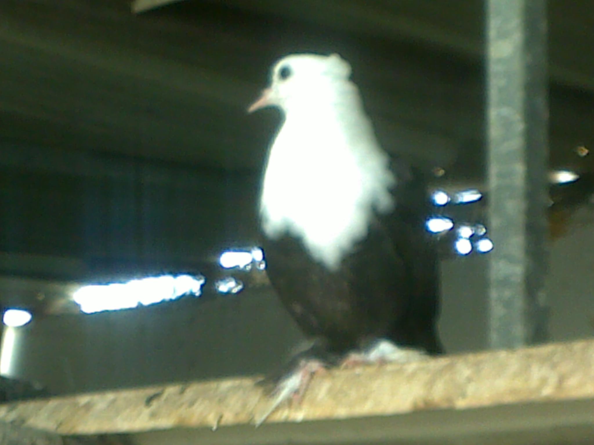 14042011361.jpg