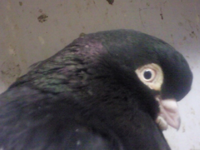 Photo3377.jpg