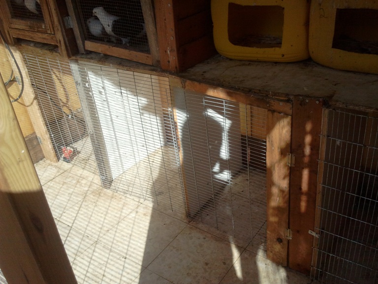 2011-07-29 08.42.18.jpg