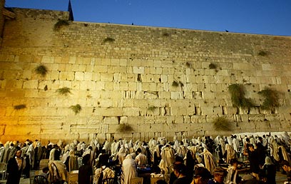 YE0350459_wa[1].jpg