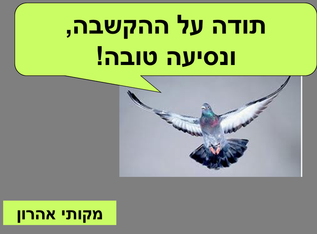 Resize of תמונה31.png