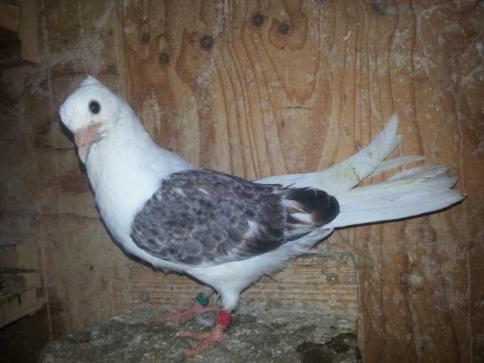 20130527_220617.jpg