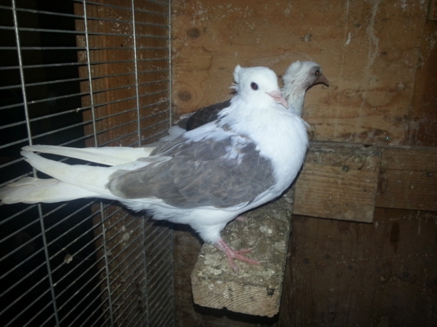 20130527_220518.jpg